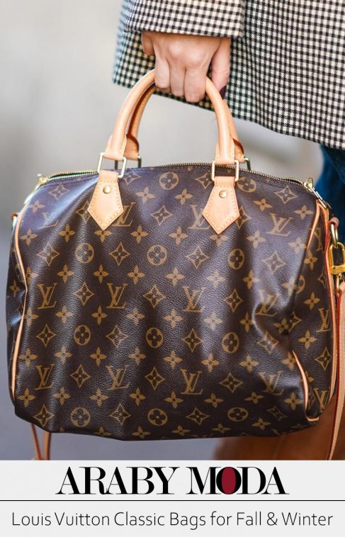 Louis Vuitton Bags Classics for Fall and Winter - Iconic LV bags