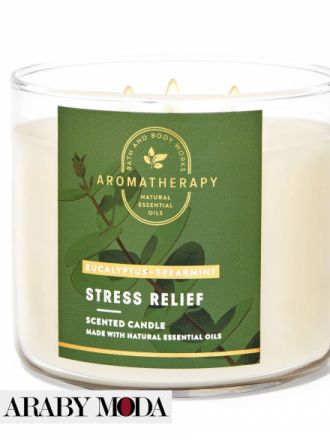 Bath & Body Works Eucalyptus Spearmint Candle