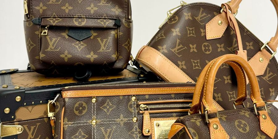 Louis Vuitton Bags Classics for Fall and Winter - Iconic LV bags