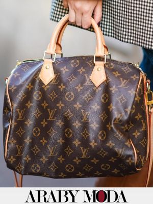 Louis Vuitton Bags Classics for Fall and Winter - Iconic LV bags